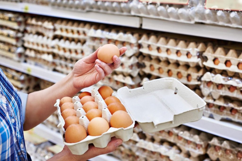 Продажа куриных яиц оптом в Московской области