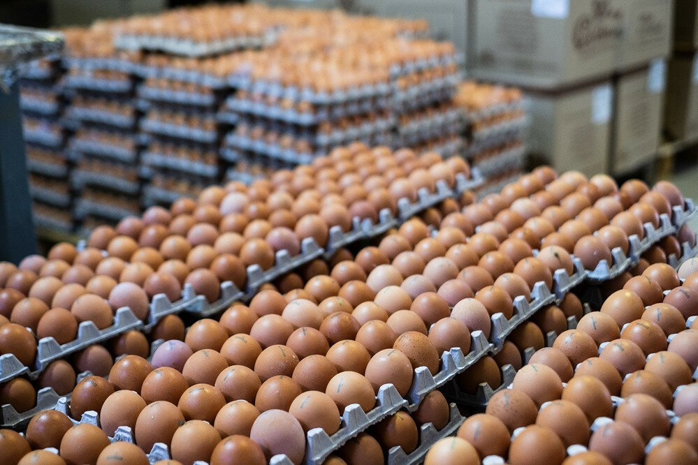 Продаем яйца в Москве оптом