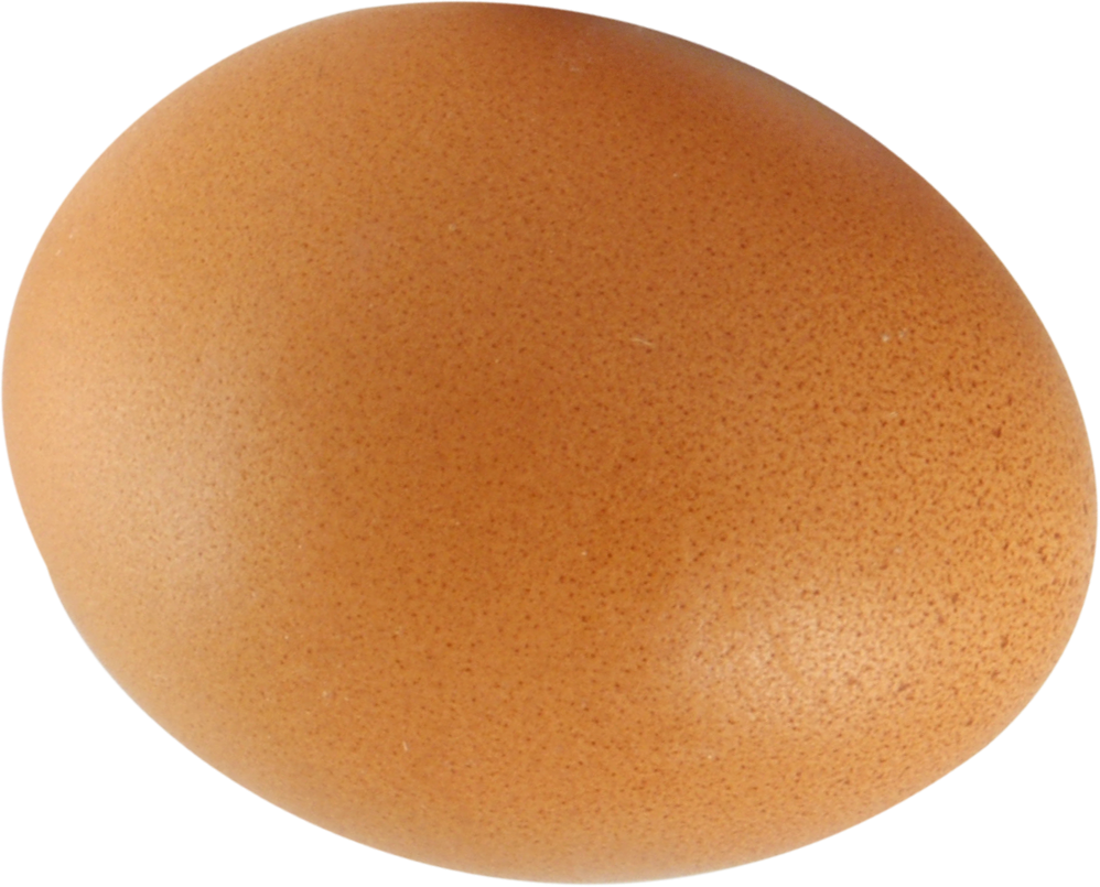 Яйцо картинка. Яйцо. Яйцо без фона. Яйцо для фотошопа. Яйцо куриное коричневое.